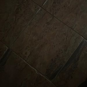 Meet your Posher, Janelle